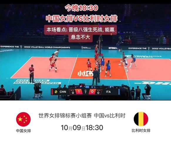 中国女排vs比利时直播