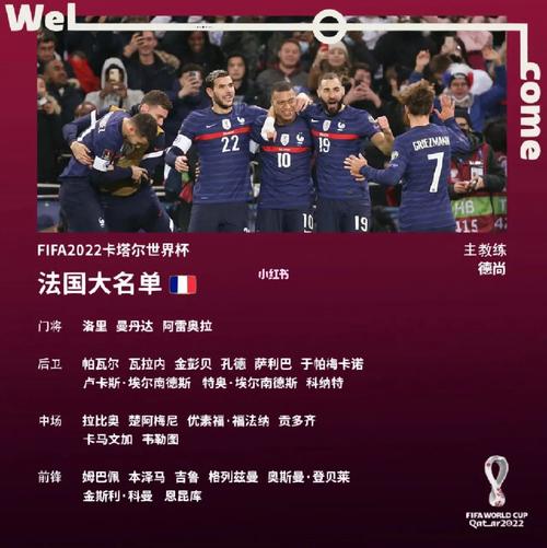 法国队最新国家队名单公布